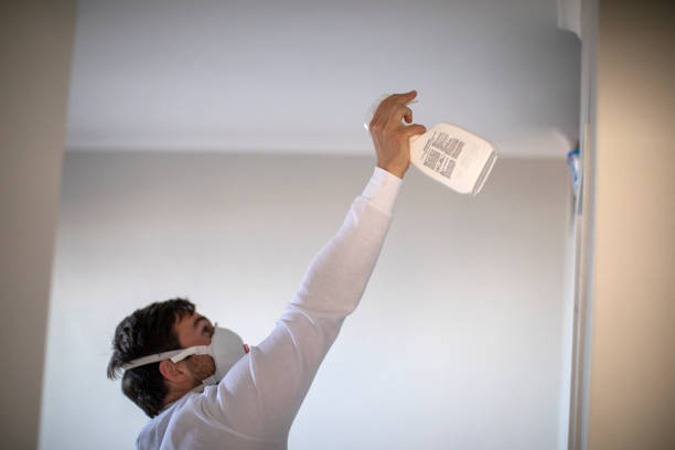 Best Local Mold Removal Service  in Halifax, VA