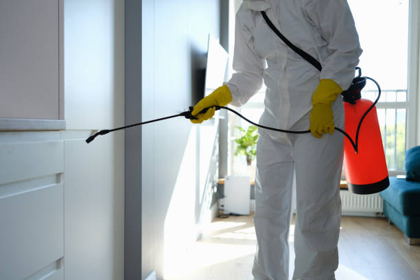 Best Toxic Mold Removal  in Halifax, VA