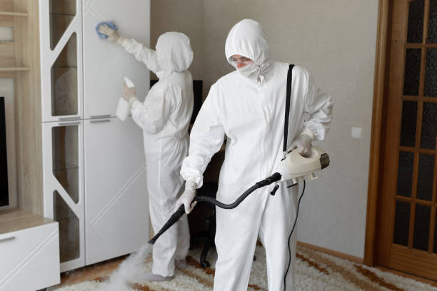 Best Mold Removal Company Near Me  in Halifax, VA