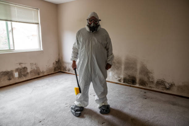 Best Commercial Mold Removal  in Halifax, VA